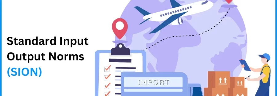 What is Standard Input Output Norms (SION)