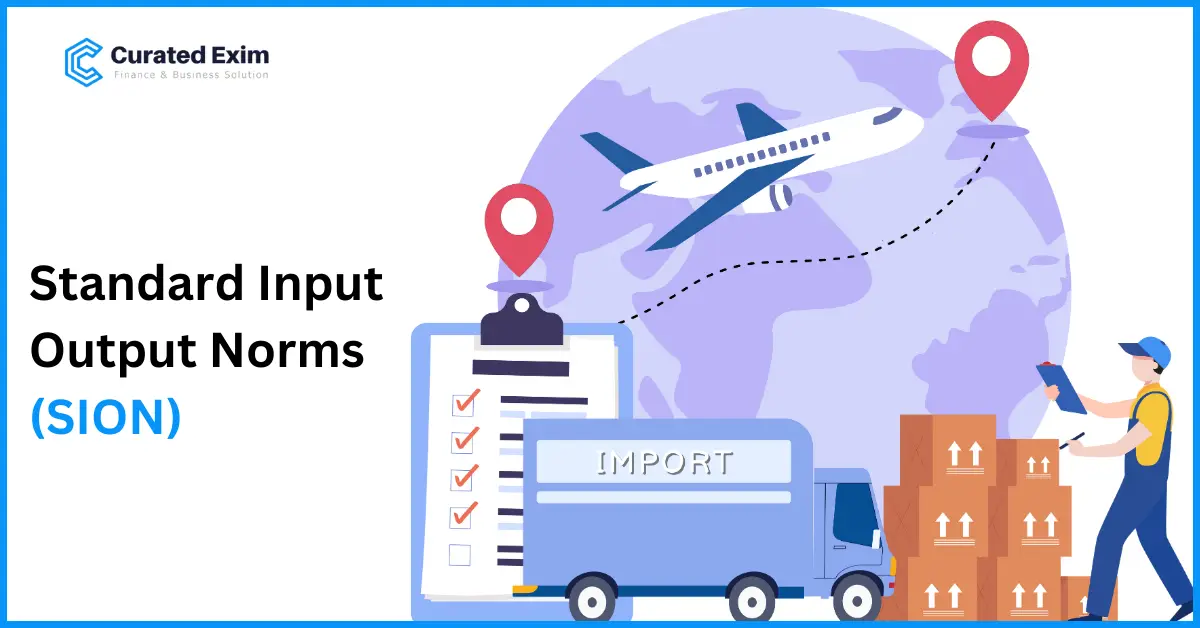 What is Standard Input Output Norms (SION)